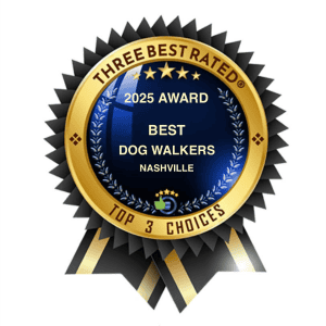2025 Best Dog Walkers