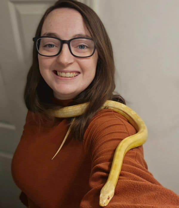 Marge Wild Owner, with yellow snake, offering pet sitting services